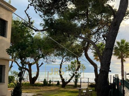 WhatsApp Image 2025-12-04 at 12.41.32 (4)