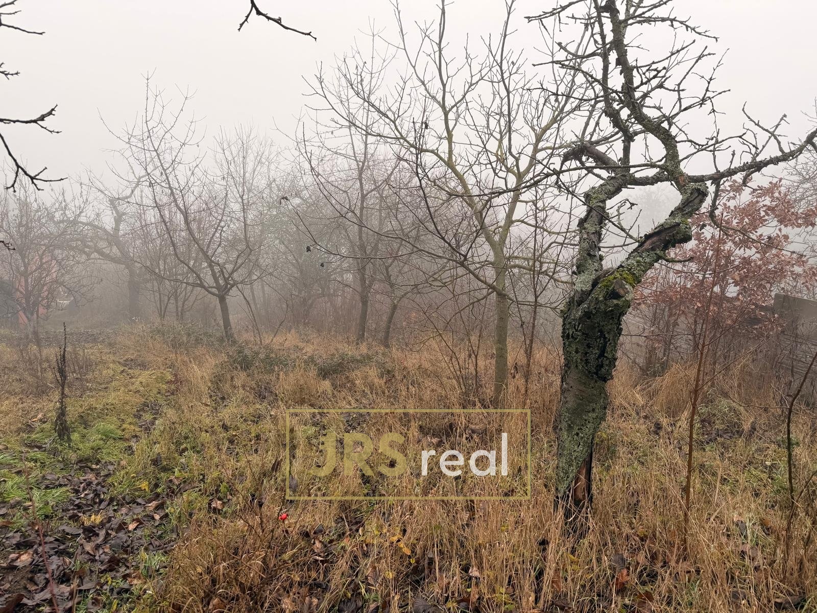 WhatsApp Image 2025-12-12 at 14.52.56 (4)