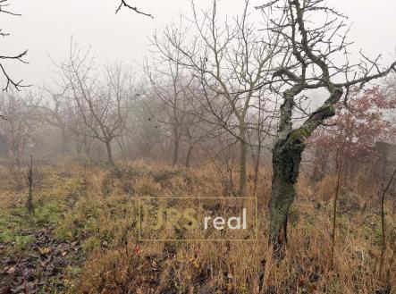 Prodej pozemku, zahrada, 419 m²