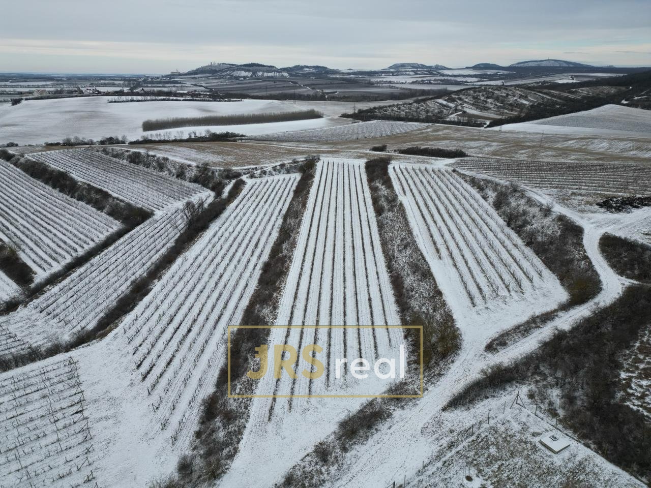 WhatsApp Image 2026-01-12 at 08.58.38