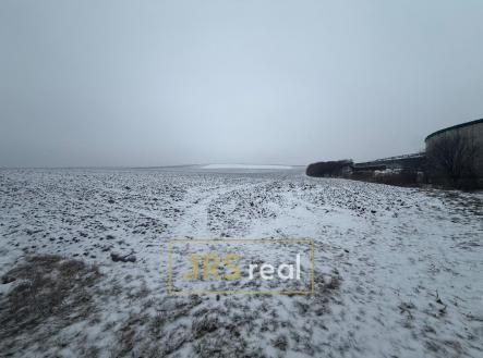 Prodej pozemku, zemědělská půda, 4 209 m²