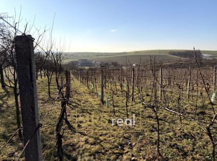 Prodej pozemku, ostatní, 3 501 m²