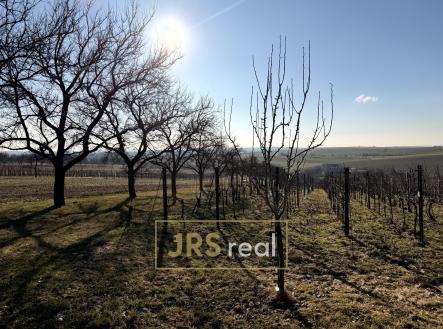 Prodej pozemku, ostatní, 3 501 m²