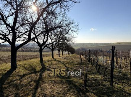 Prodej pozemku, ostatní, 3 501 m² obrázek