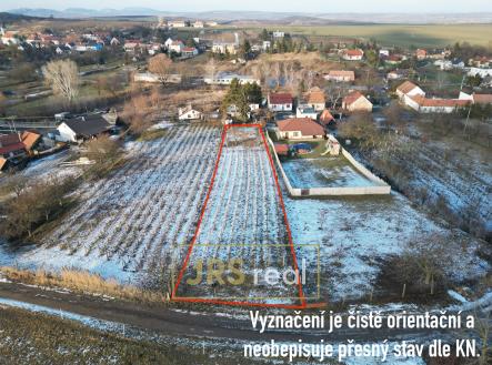 Orchid Casel de Paradise.