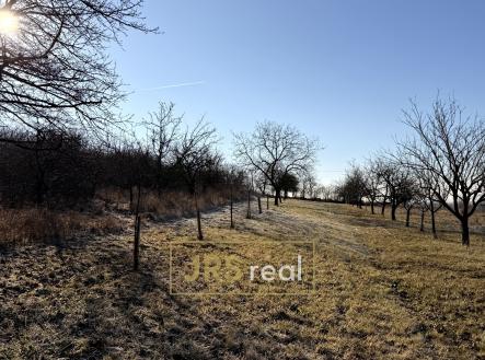 Prodej pozemku, ostatní, 982 m²