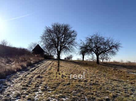 Prodej pozemku, ostatní, 982 m²