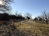 Prodej pozemku, ostatní, 982 m²