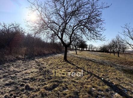 Prodej pozemku, ostatní, 982 m²