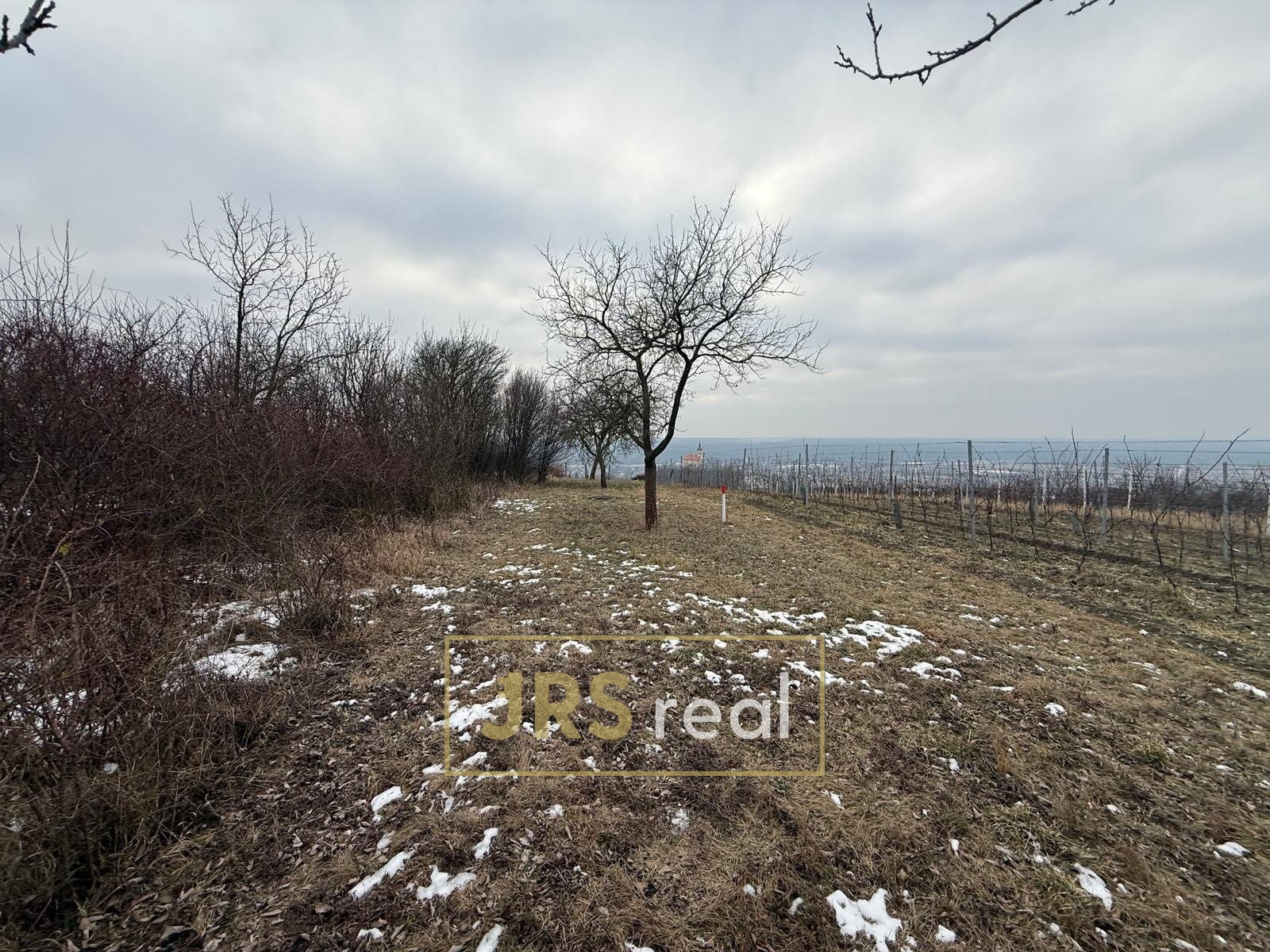 WhatsApp Image 2026-01-22 at 10.10.57 (2)