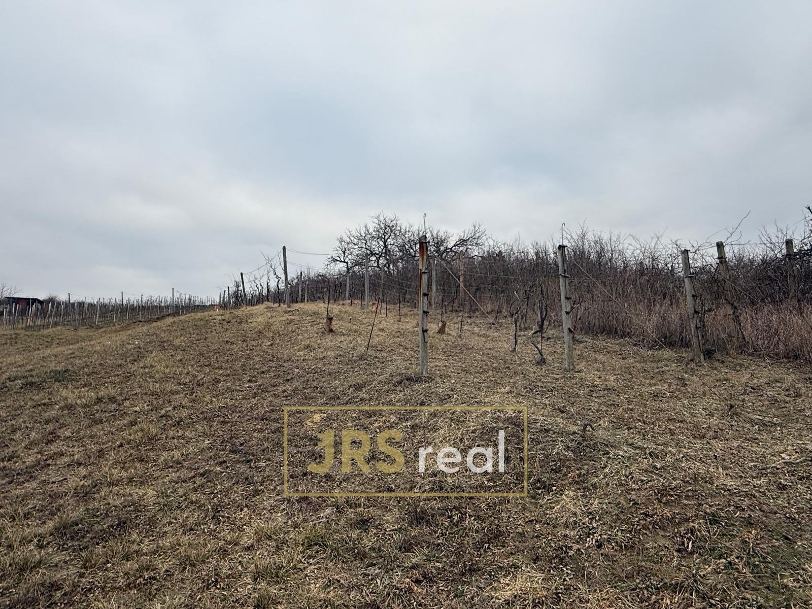 WhatsApp Image 2026-01-22 at 10.10.58 (10)