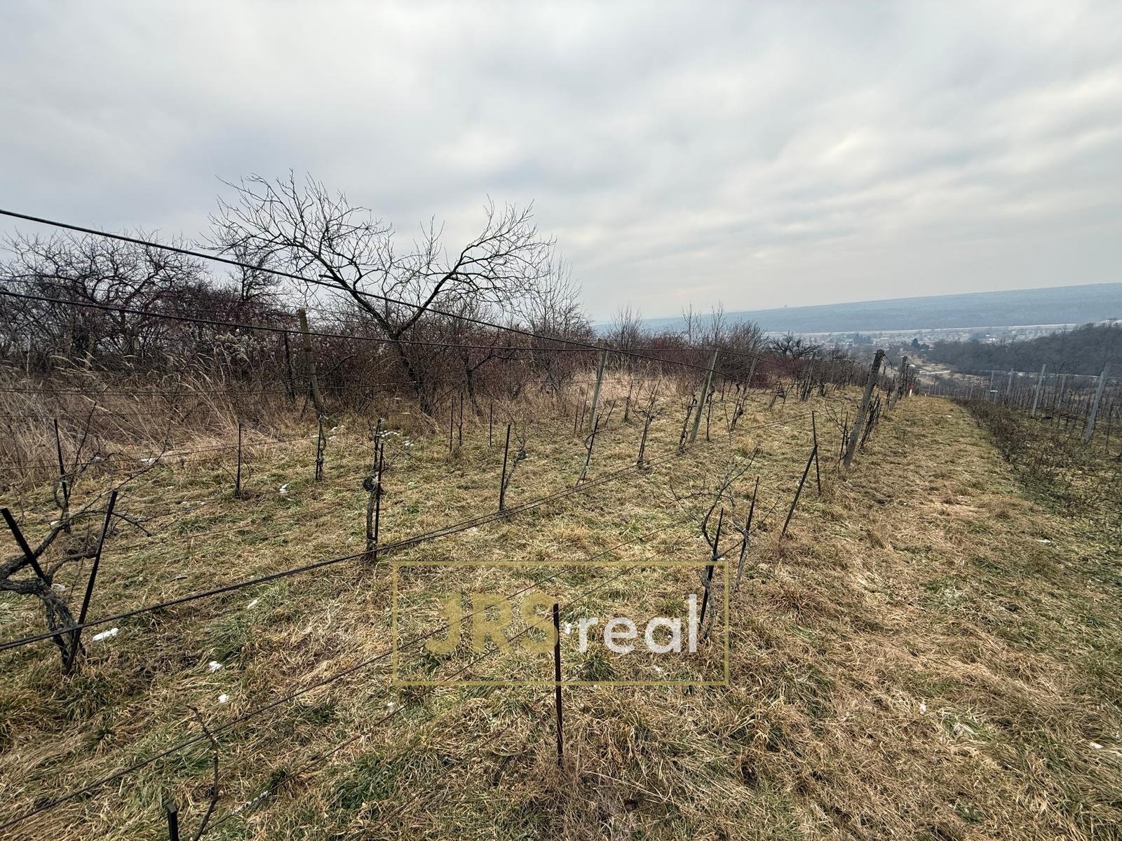 WhatsApp Image 2026-01-22 at 10.10.57 (5)