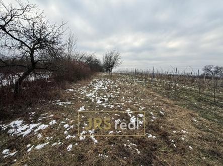 Prodej pozemku, ostatní, 1 231 m²