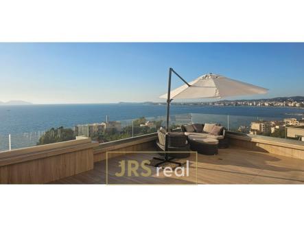 Orchid Casel de Paradise.