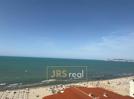 Orchid Casel de Paradise.