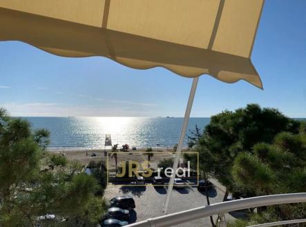 Orchid Casel de Paradise.