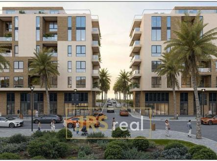 WhatsApp Image 2026-01-22 at 12.24.43 (1)