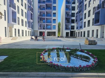 WhatsApp Image 2026-01-20 at 22.59.48 (2)