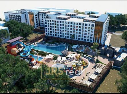 Orchid Casel de Paradise.