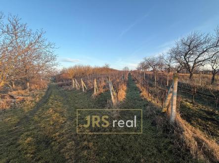 Prodej pozemku, ostatní, 3 139 m²