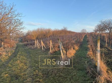 Prodej pozemku, ostatní, 3 139 m²