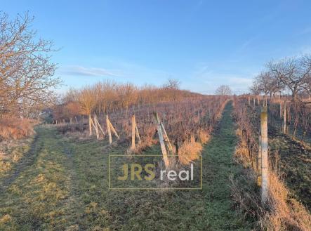 Prodej pozemku, ostatní, 3 139 m²