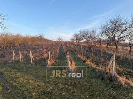 Prodej pozemku, ostatní, 3 139 m²