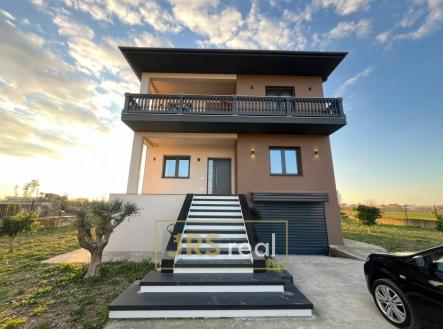 Orchid Casel de Paradise.