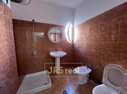 WhatsApp Image 2026-02-09 at 12.01.49 (2)