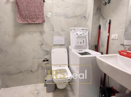 WhatsApp Image 2026-02-10 at 16.42.10 (8)