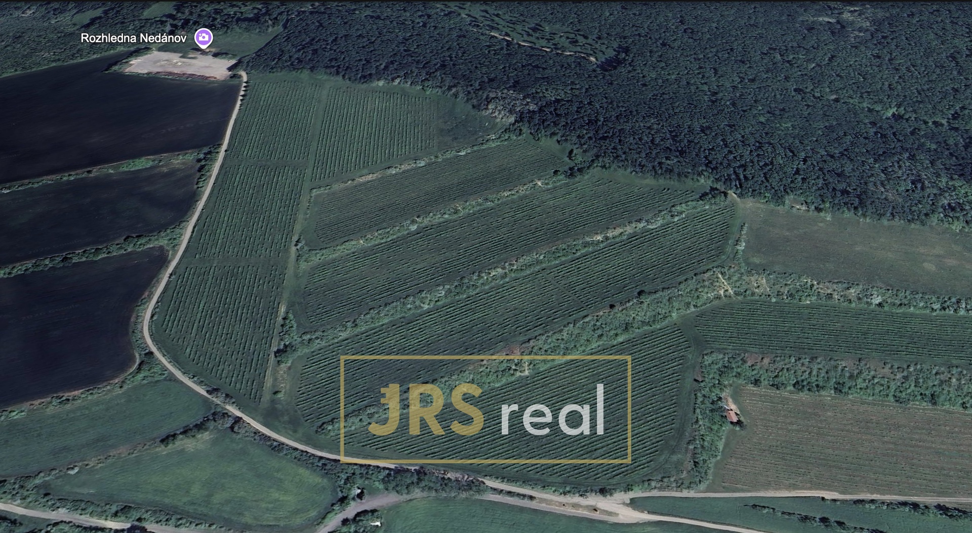 Snímek obrazovky 2026-02-12 v 22.11.50