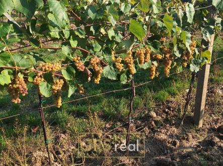 Prodej pozemku, ostatní, 3 399 m²