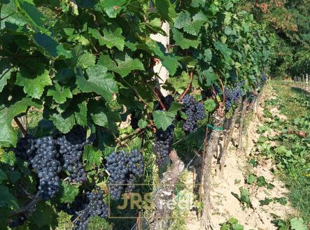 Prodej pozemku, ostatní, 3 399 m²