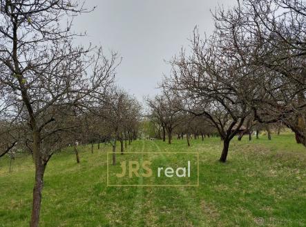 Prodej pozemku, ostatní, 4 446 m²