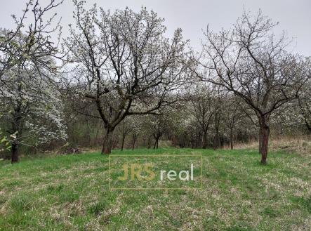 Prodej pozemku, ostatní, 4 446 m²