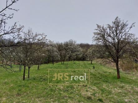 Prodej pozemku, ostatní, 4 446 m²