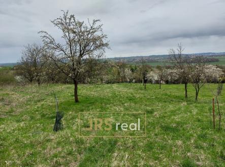 Prodej pozemku, ostatní, 4 446 m²