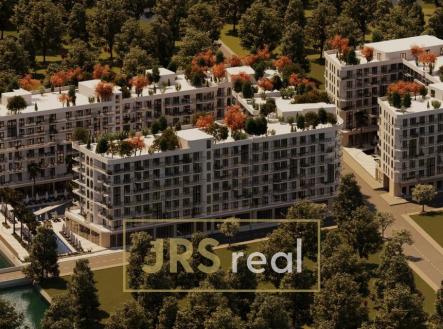 WhatsApp Image 2026-01-22 at 15.18.29 (3)