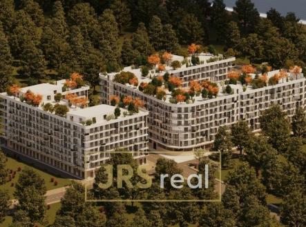 WhatsApp Image 2026-01-22 at 15.18.29 (4)