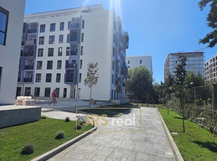 WhatsApp Image 2026-01-20 at 22.59.48 (3)