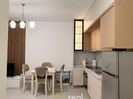 WhatsApp Image 2026-02-10 at 16.42.09 (3)