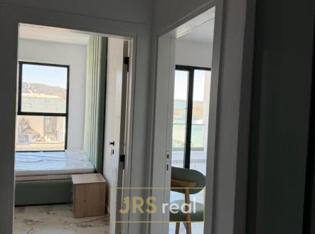 WhatsApp Image 2026-03-09 at 13.25.24 (1)