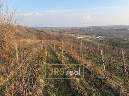 Prodej pozemku, ostatní, 2 669 m²