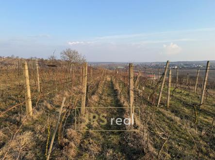 Prodej pozemku, ostatní, 2 669 m²