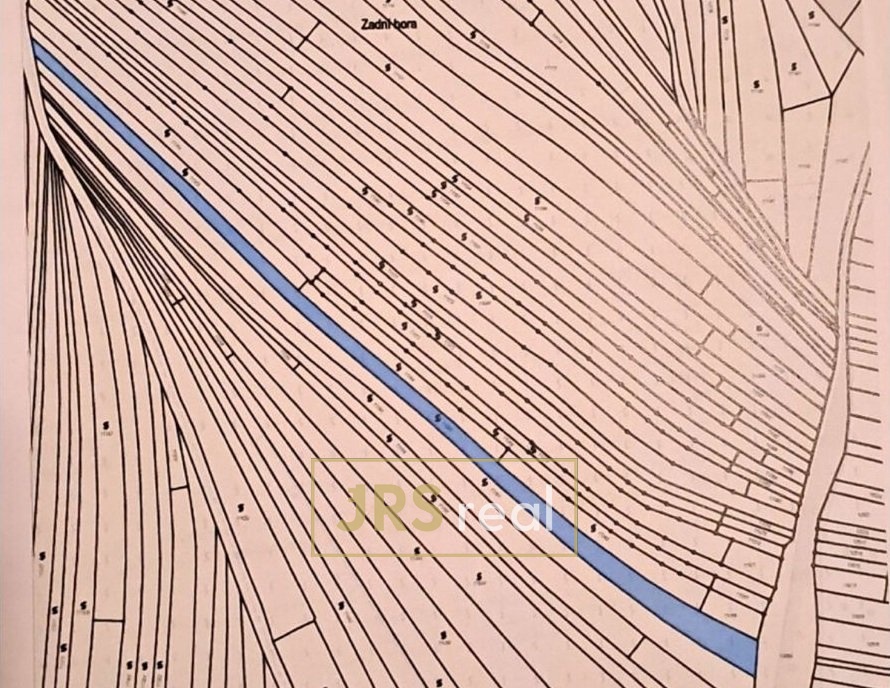 WhatsApp Image 2026-03-05 at 11.42.16