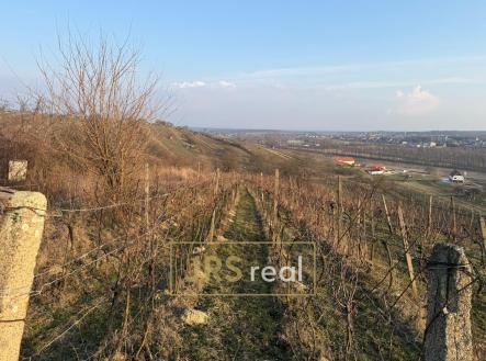 Prodej pozemku, ostatní, 2 669 m²