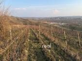 Prodej pozemku, ostatní, 2 669 m²