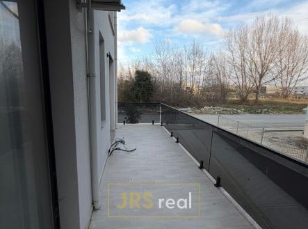 WhatsApp Image 2026-03-10 at 11.17.46