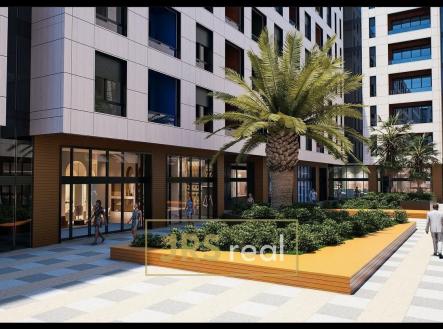 WhatsApp Image 2026-03-12 at 11.52.48 (4)