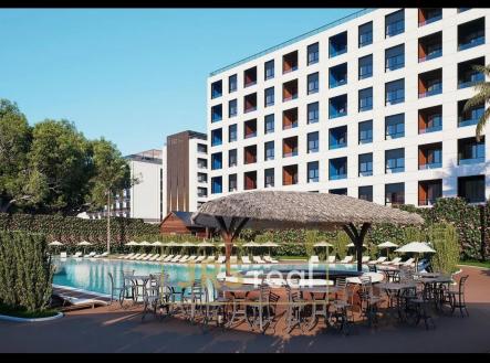 WhatsApp Image 2026-03-12 at 11.52.48 (2)